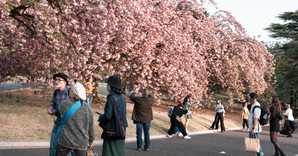 Best Things to Do in Newark: Upcoming Events and Local Happenings