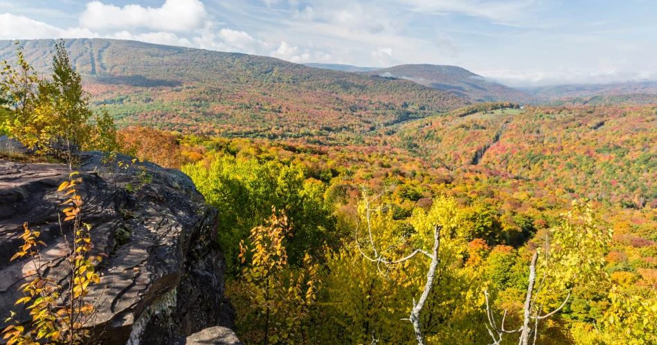 Outdoor Adventures Near Newark: Parks, Trails & Scenic Escapes